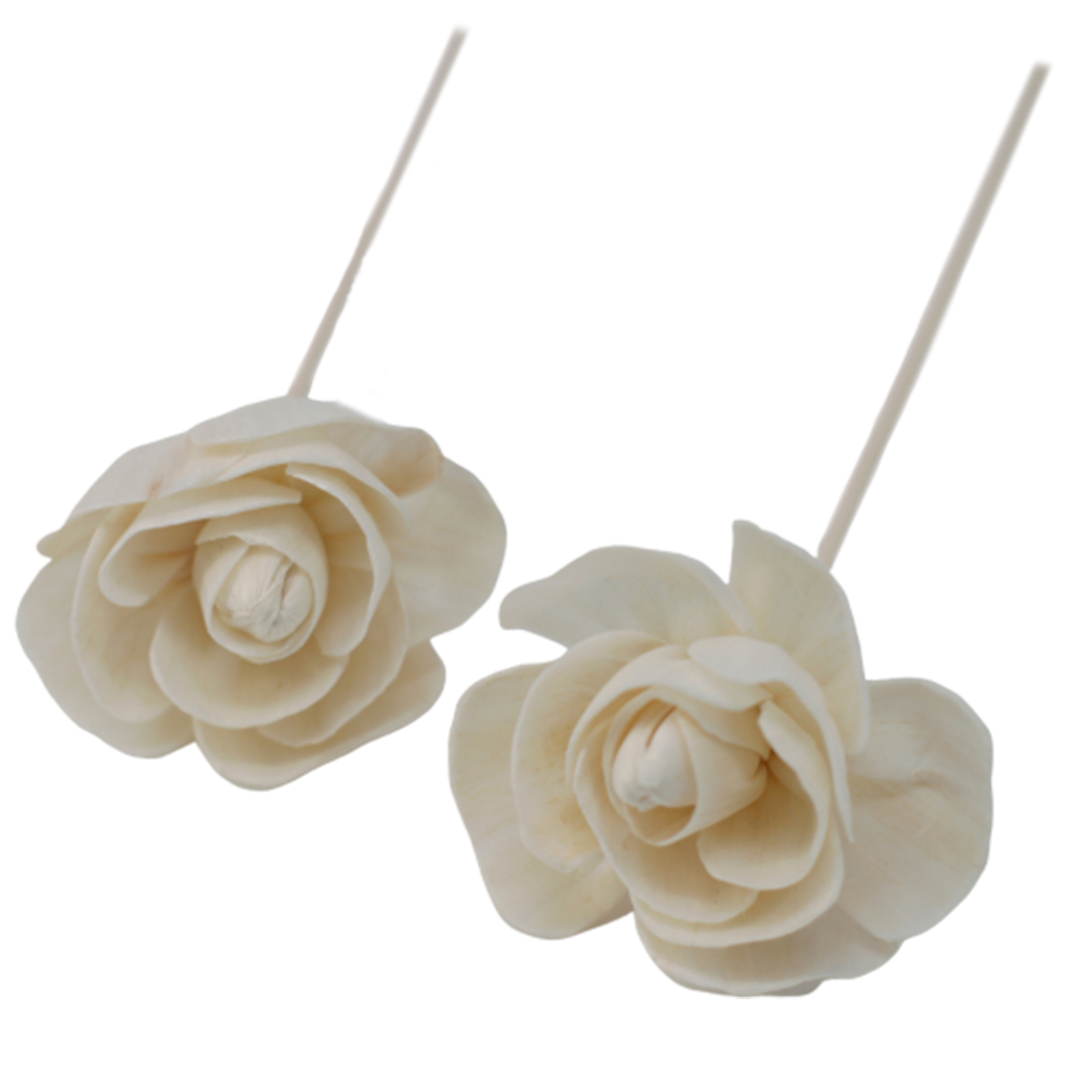 12 x Natural Diffuser Flowers - Rose on Reed